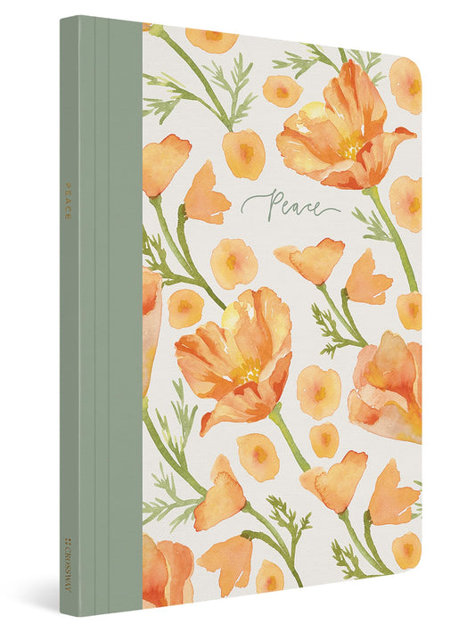ESV Prayer Journal: 30 Days on Peace (Paperback) - 7504