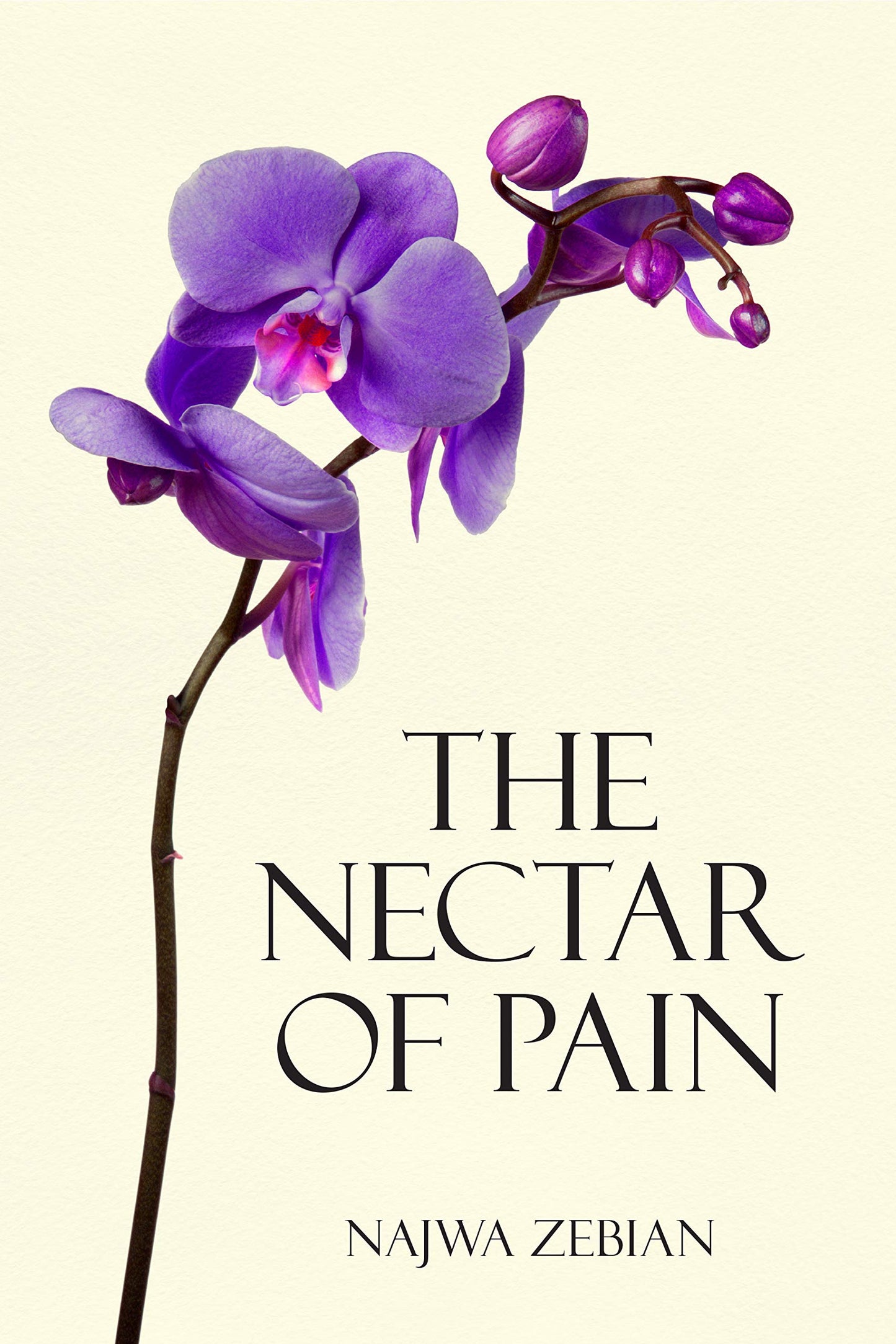 The Nectar of Pain - 6737