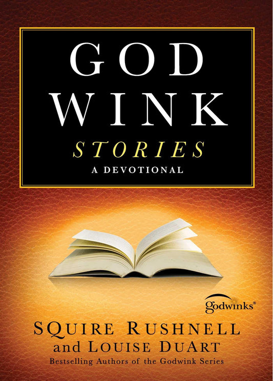 Godwink Stories: A Devotional (3) (The Godwink Series) - 6134