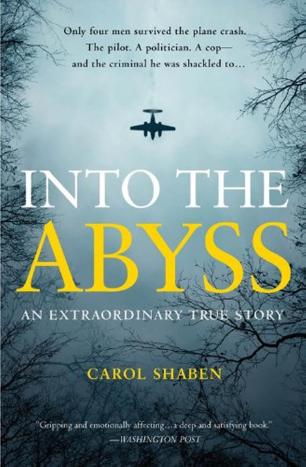 Into the Abyss: An Extraordinary True Story by Shaben, Carol (2014) Paperback - 1834