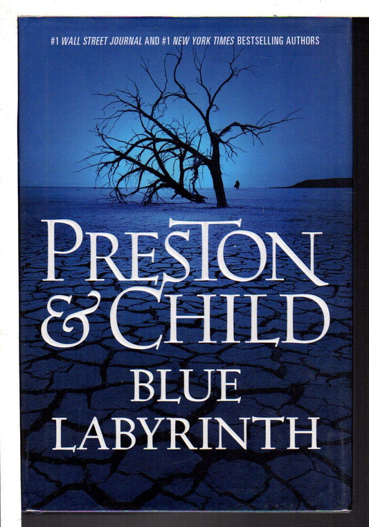 Blue Labyrinth (Agent Pendergast Series, 14)
