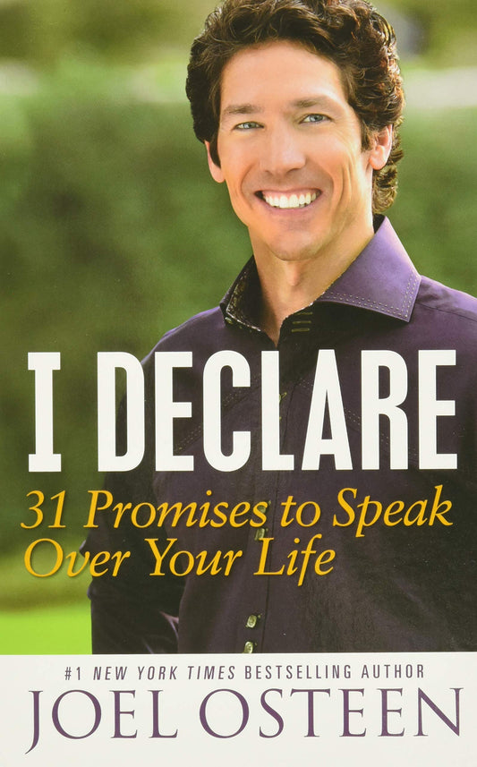 I Declare: 31 Promises to Speak Over Your Life - 8045