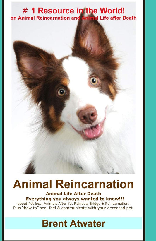 Animal Reincarnation: Everything You Always Wanted to Know! about Pet Reincarnation plus "how to" techniques to see, feel & communicate with your deceased pet