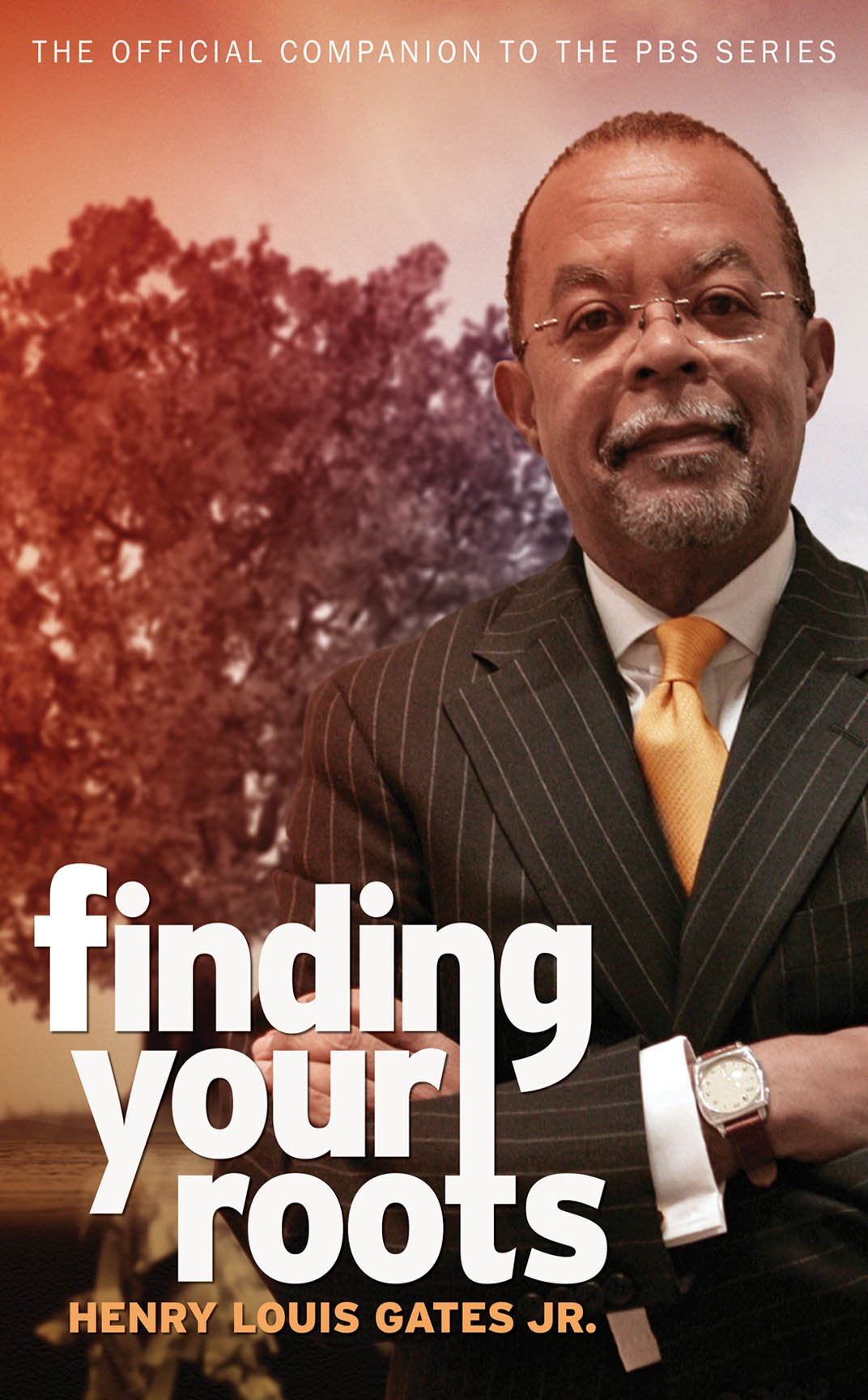 Finding Your Roots: The Official Companion to the PBS Series - 6590