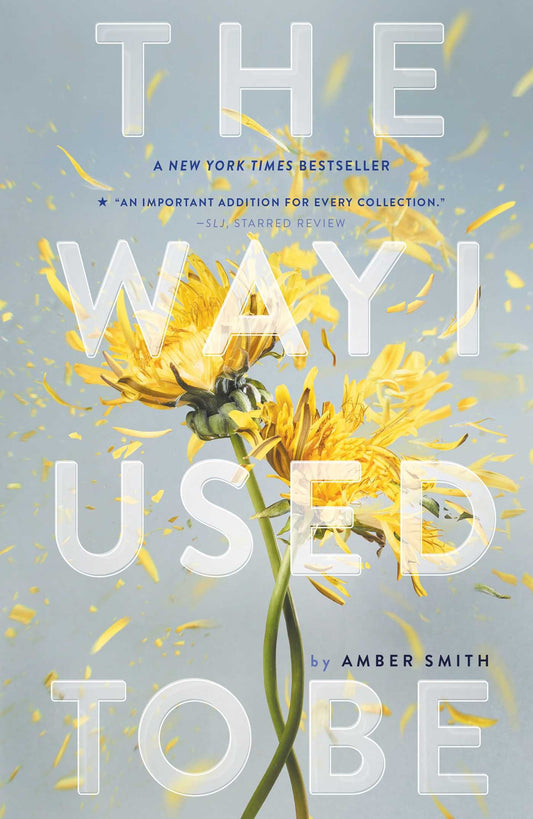 The Way I Used to Be - 3479