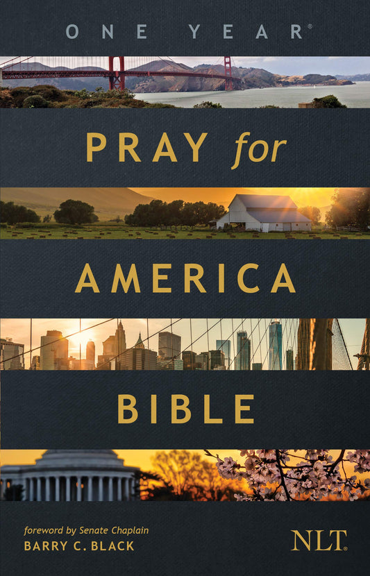 The One Year Pray for America Bible, NLT (Paperback) – Inspirational Daily Bible with Non-Partisan Prayer Prompts - 9632