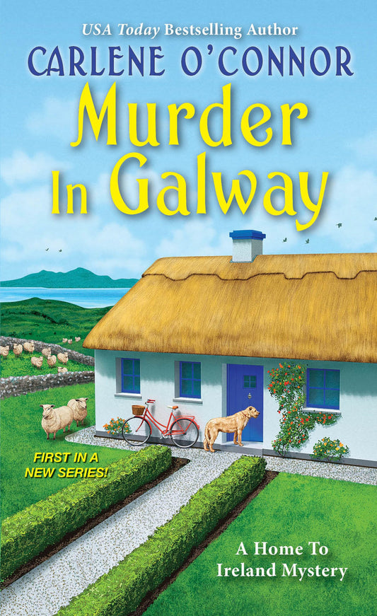 Murder in Galway (A Home to Ireland Mystery) - 6299