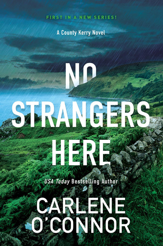 No Strangers Here: A Riveting Irish Thriller (A County Kerry Novel) - 6153