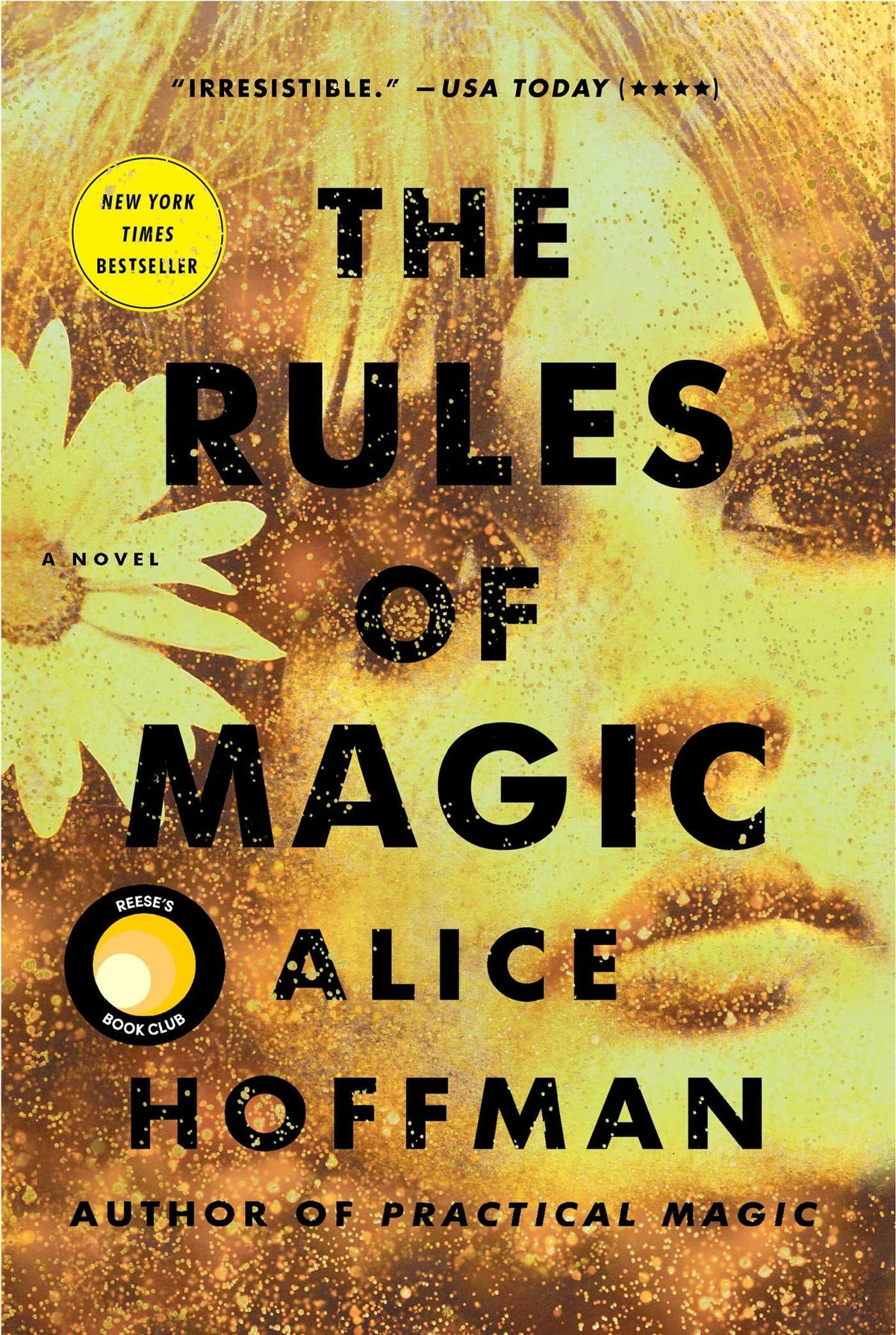The Rules of Magic (Volume 2)