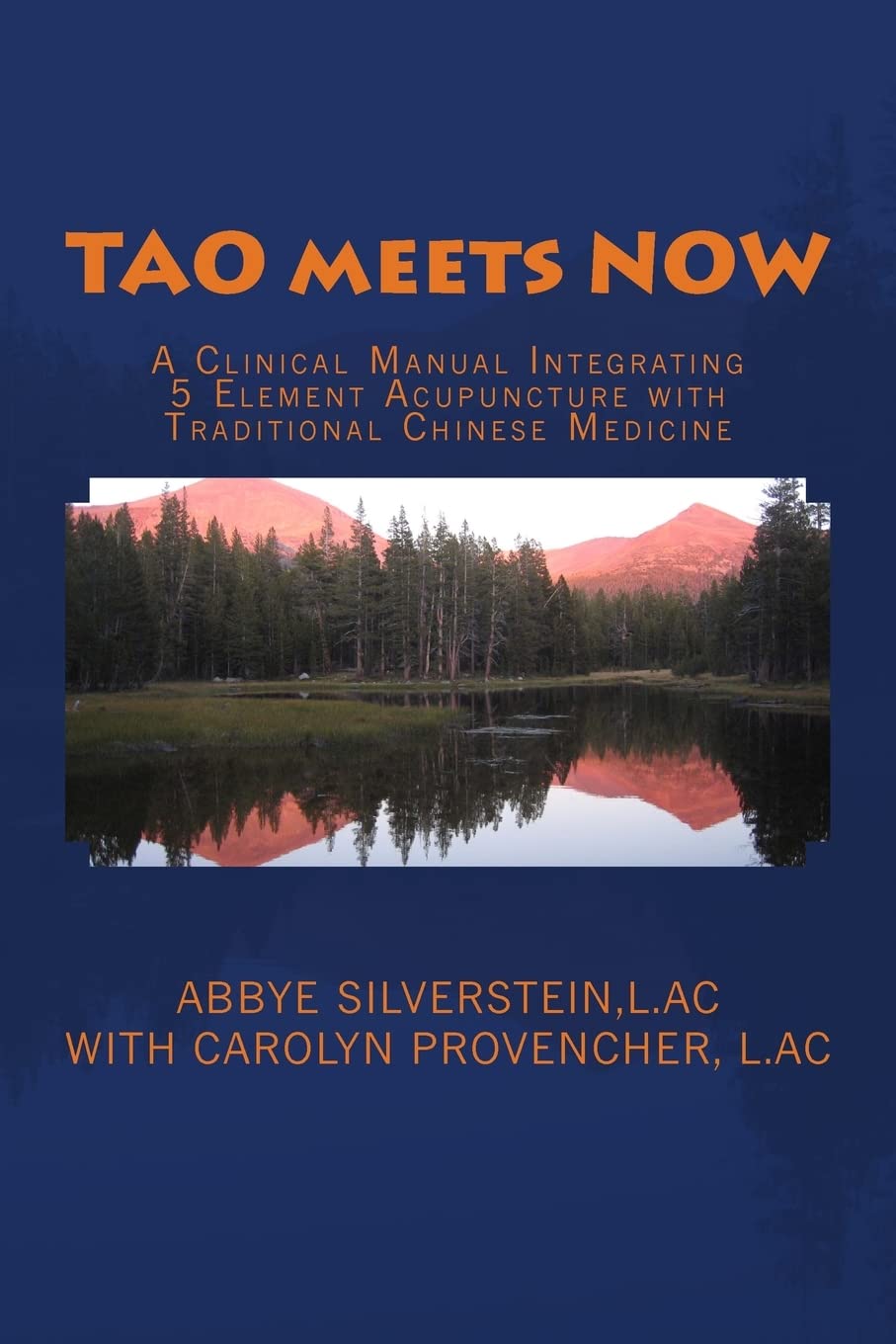 TAO meets NOW: A Clinical Manual Integrating 5 Element Acupuncture with Traditional Chinese Medicine - 3710