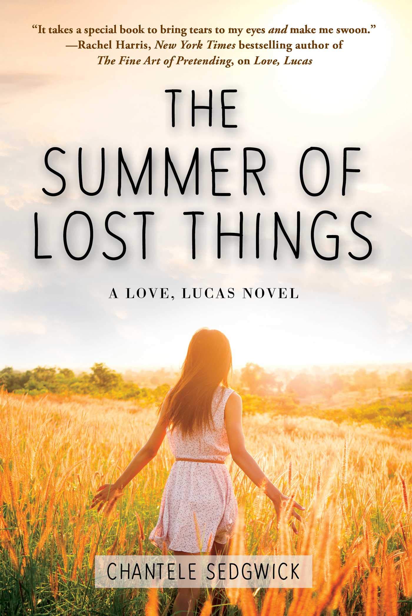 The Summer of Lost Things (A Love, Lucas Novel)