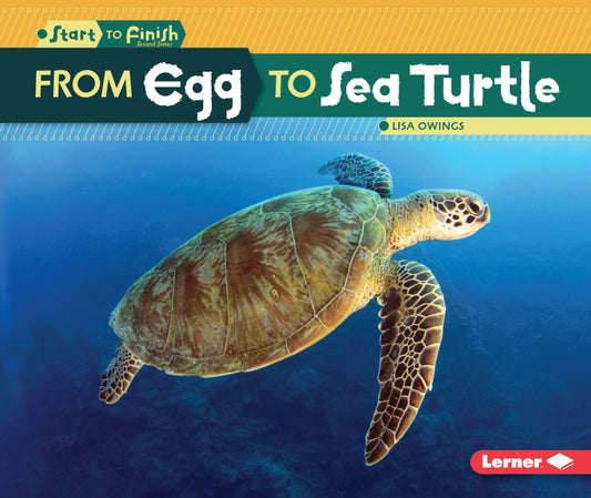 From Egg to Sea Turtle (Start to Finish, Second Series) - 9385