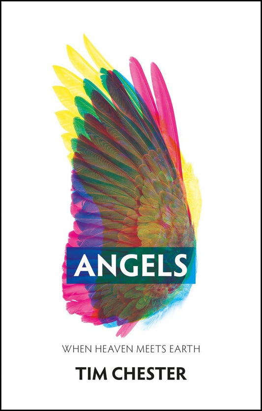 Angels: When Heaven Meets Earth - 4202