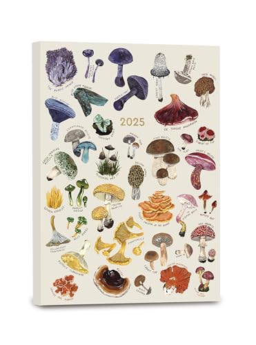 High Note 2025 Planner, 17-Month Weekly & Monthly Softcover Planner: August 2024 to December 2025, 5.75" x 7.5" - Mushrooms