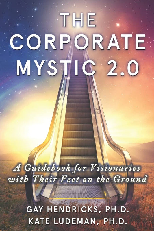 The Corporate Mystic 2.0: A Guidebook For Visionaries With Their Feet On The Ground - 3675