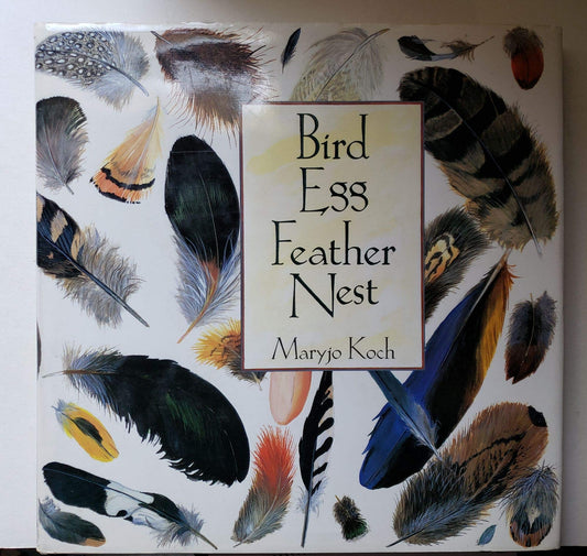 BIRD EGG FEATHER NEST - 8613