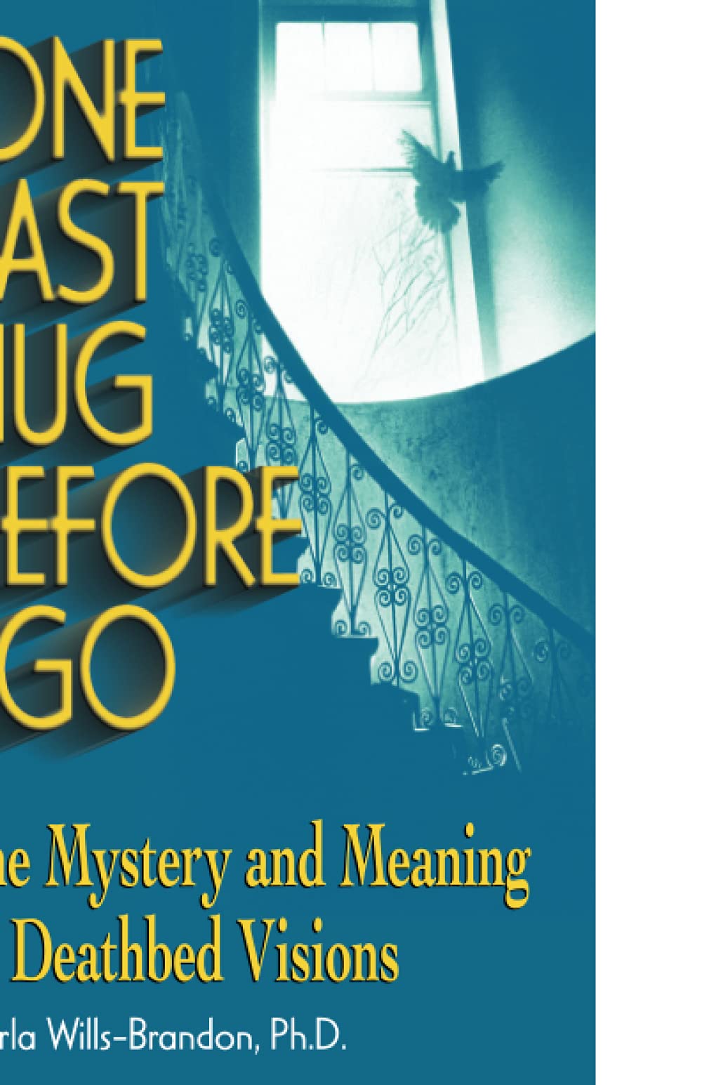 One Last Hug Before I Go: The Mystery and Meaning of Deathbed Visions - 315