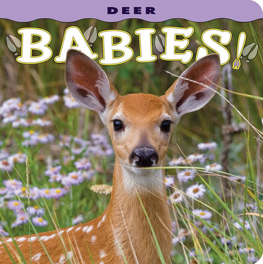 Deer Babies! (Babies! (Farcountry Press))