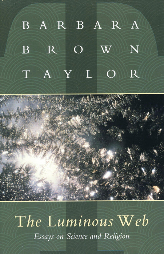 The Luminous Web: Essays on Science and Religion - 9737