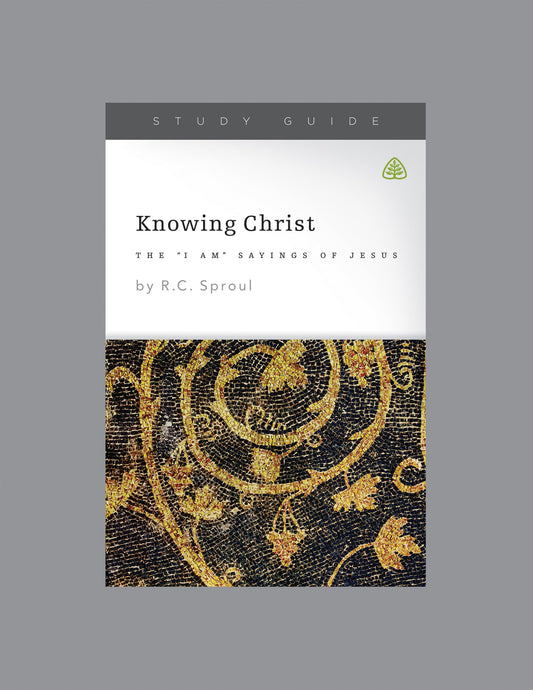 Knowing Christ: The I AM Sayings of Jesus, Teaching Series Study Guide - 7196