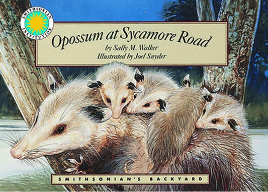Opossum at Sycamore Road (Smithsonian Backyard)