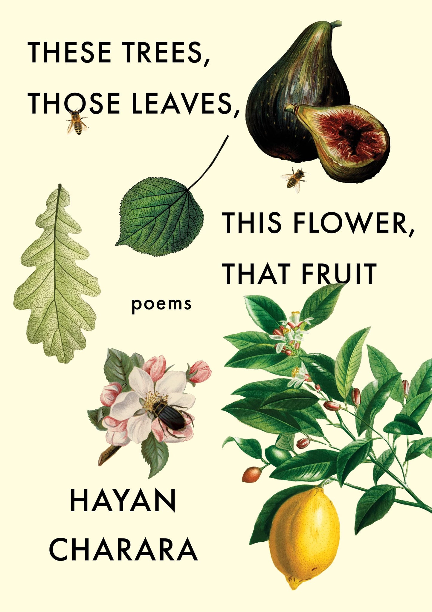 These Trees, Those Leaves, This Flower, That Fruit: Poems - 960