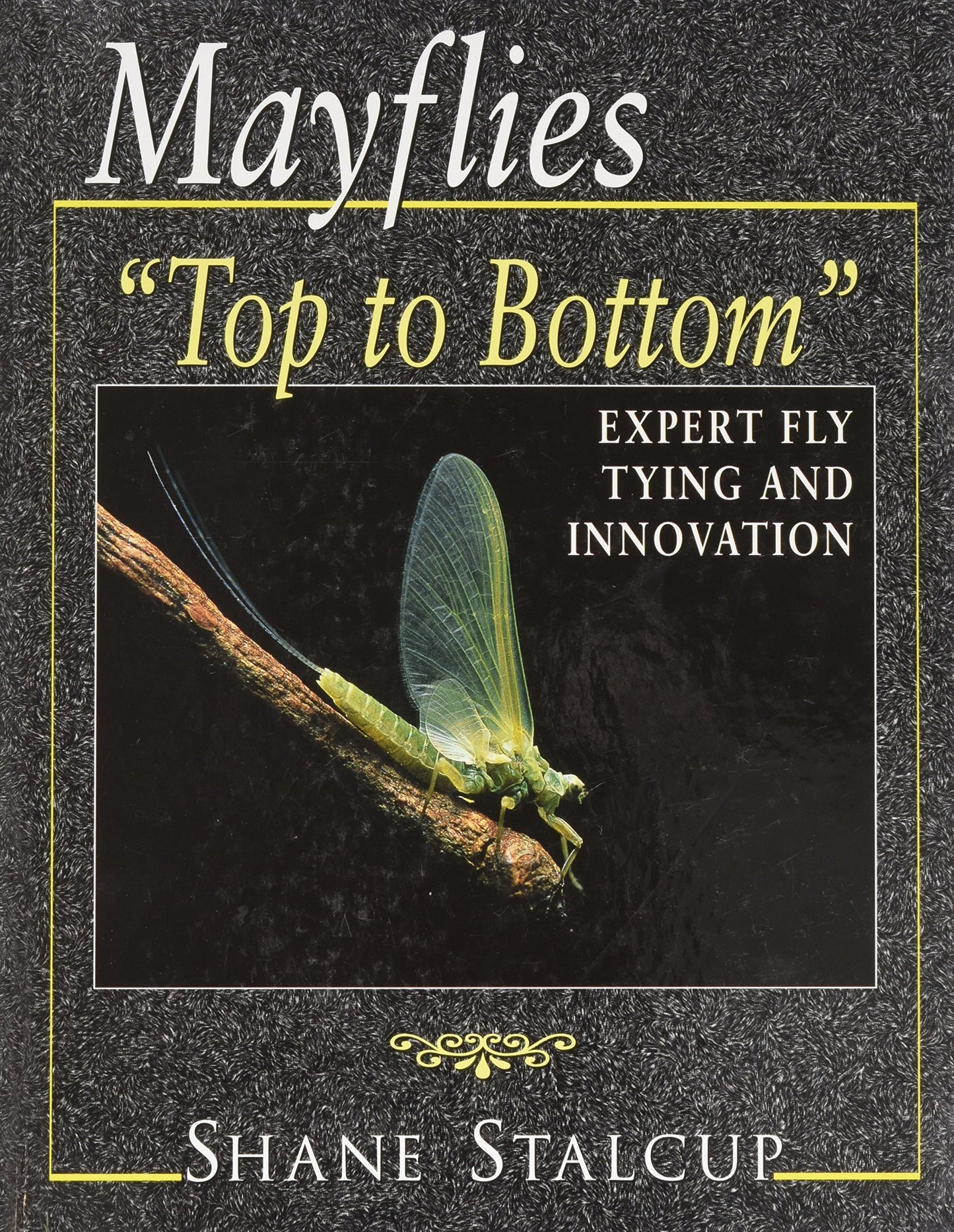 Mayflies: "Top to Bottom"