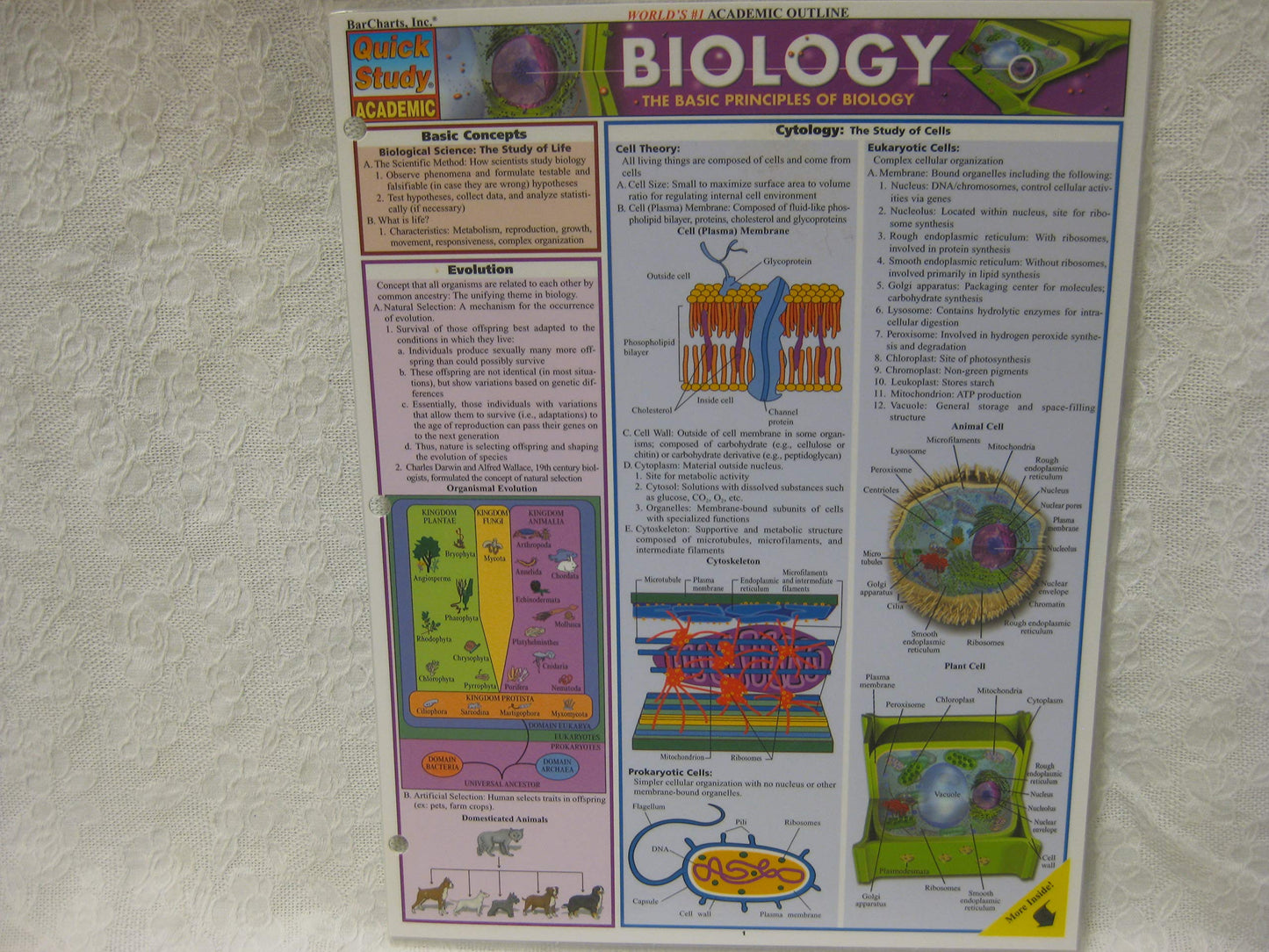 Biology (Quickstudy Reference Guides - Academic)