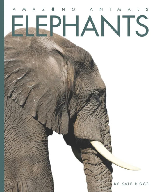 Elephants (Amazing Animals)