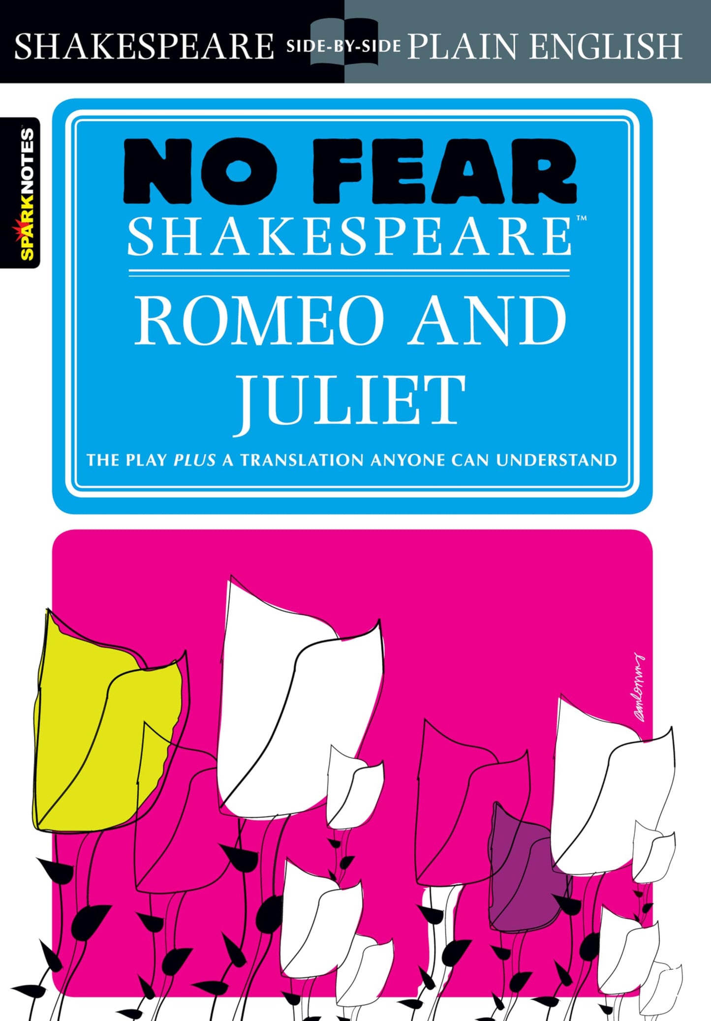 Romeo and Juliet: No Fear Shakespeare Side-by-Side Plain English - 2641