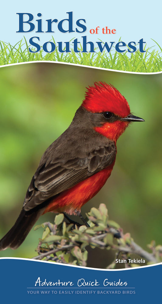 Birds of the Southwest: Your Way to Easily Identify Backyard Birds (Adventure Quick Guides) - 1247