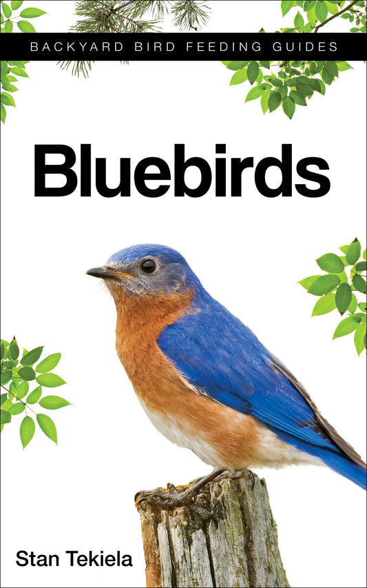 Bluebirds (Backyard Bird Feeding Guides) - 7197