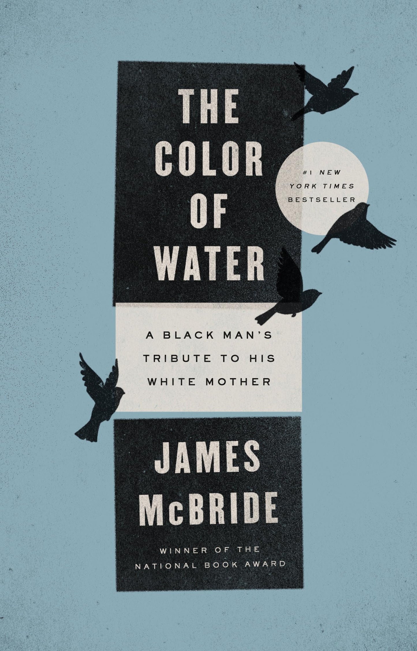 The Color of Water: A Black Man's Tribute to His White Mother - 462