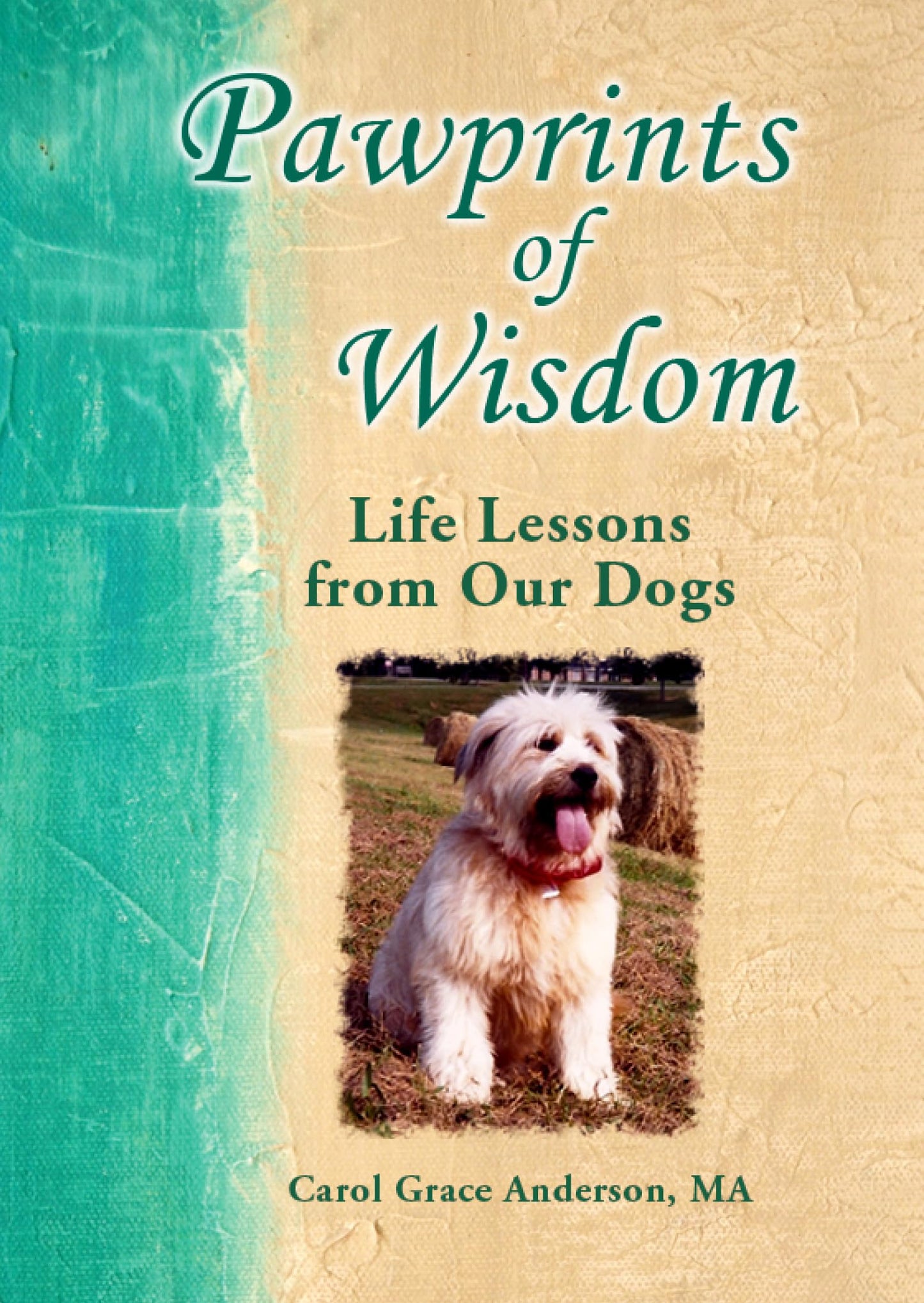 Pawprints of Wisdom: Life Lessons from Our Dogs by Carol Grace Anderson, A Inspiring and Sentimental Gift Book for Any Dog Lover from Blue Mountain Arts - 6291