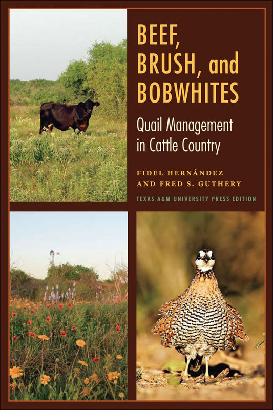 Beef, Brush, and Bobwhites: Quail Management in Cattle Country (Perspectives on South Texas, sponsored by Texas A&M University-Kingsville) - 6675