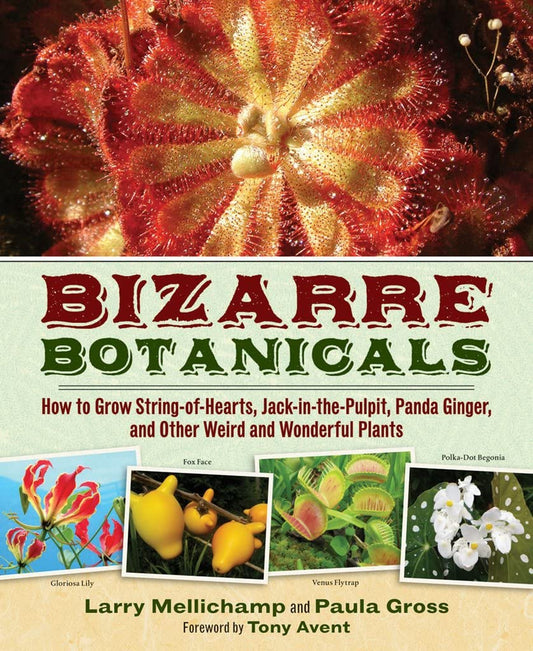 Bizarre Botanicals: How to Grow String-of-Hearts, Jack-in-the-Pulpit, Panda Ginger, and Other Weird and Wonderful Plants