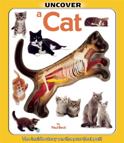 Uncover a Cat (Uncover Books) - 1582