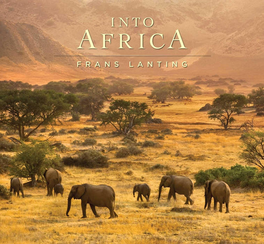 Into Africa - 8995