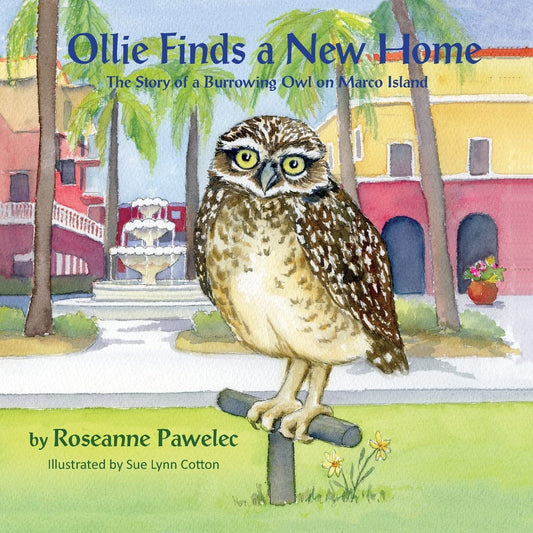 Ollie Finds a New Home, The Story of a Burrowing Owl on Marco Island - 1008