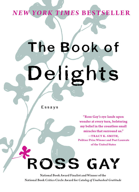 The Book of Delights: Essays - 9902