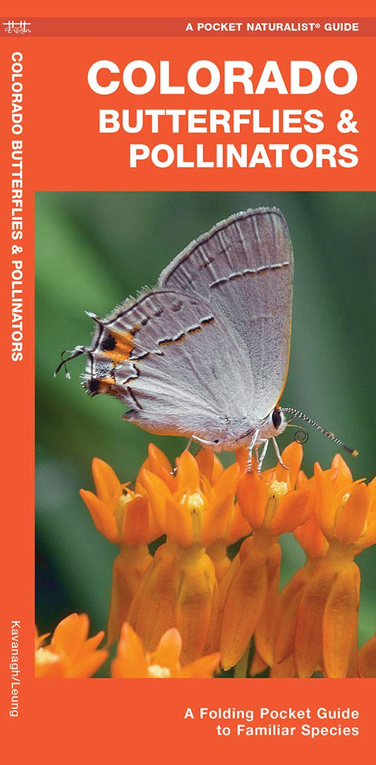 Colorado Butterflies & Pollinators: A Folding Pocket Guide to Familiar Species (Nature Observation North America)