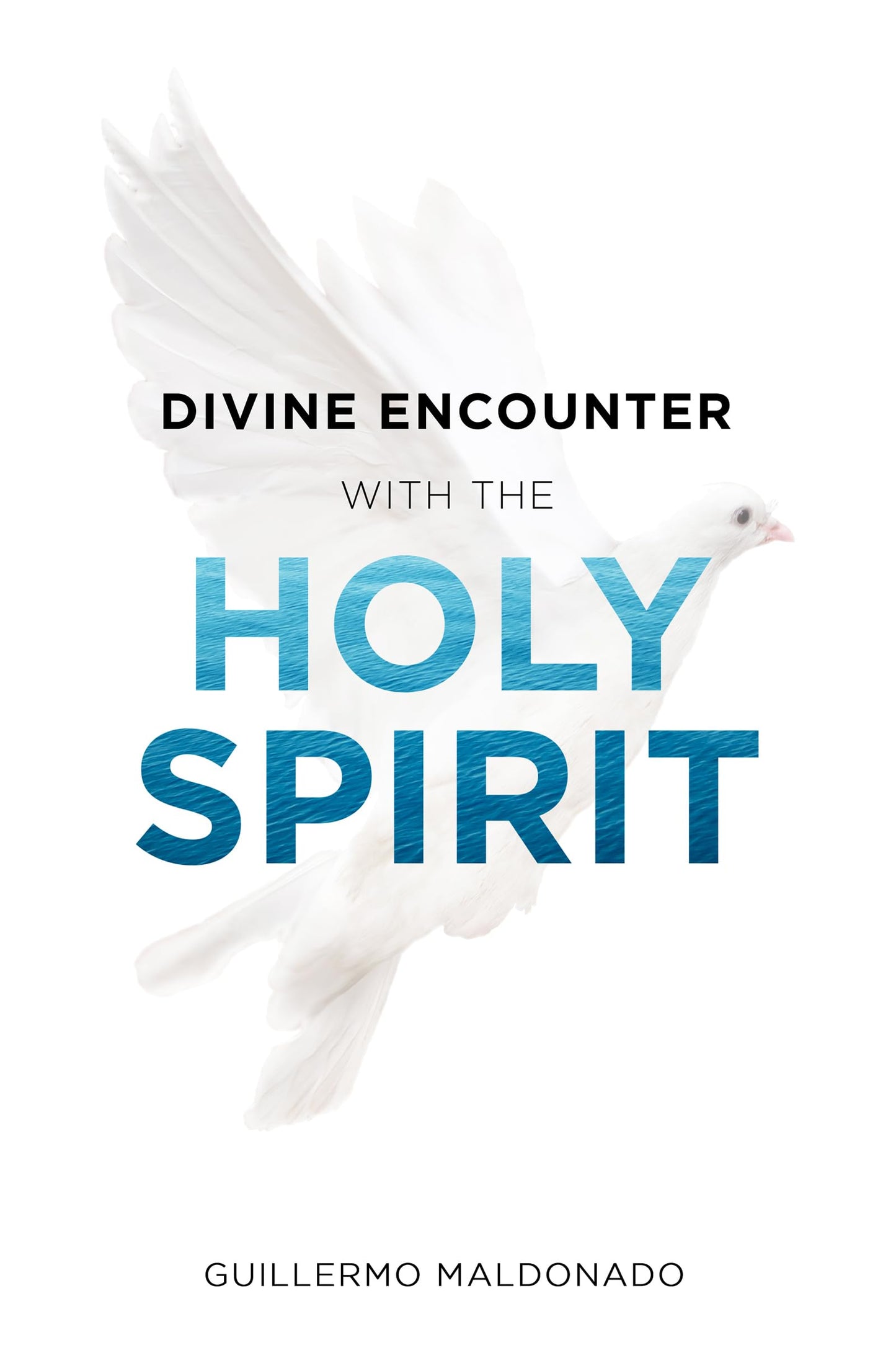 Divine Encounter with the Holy Spirit - 9568