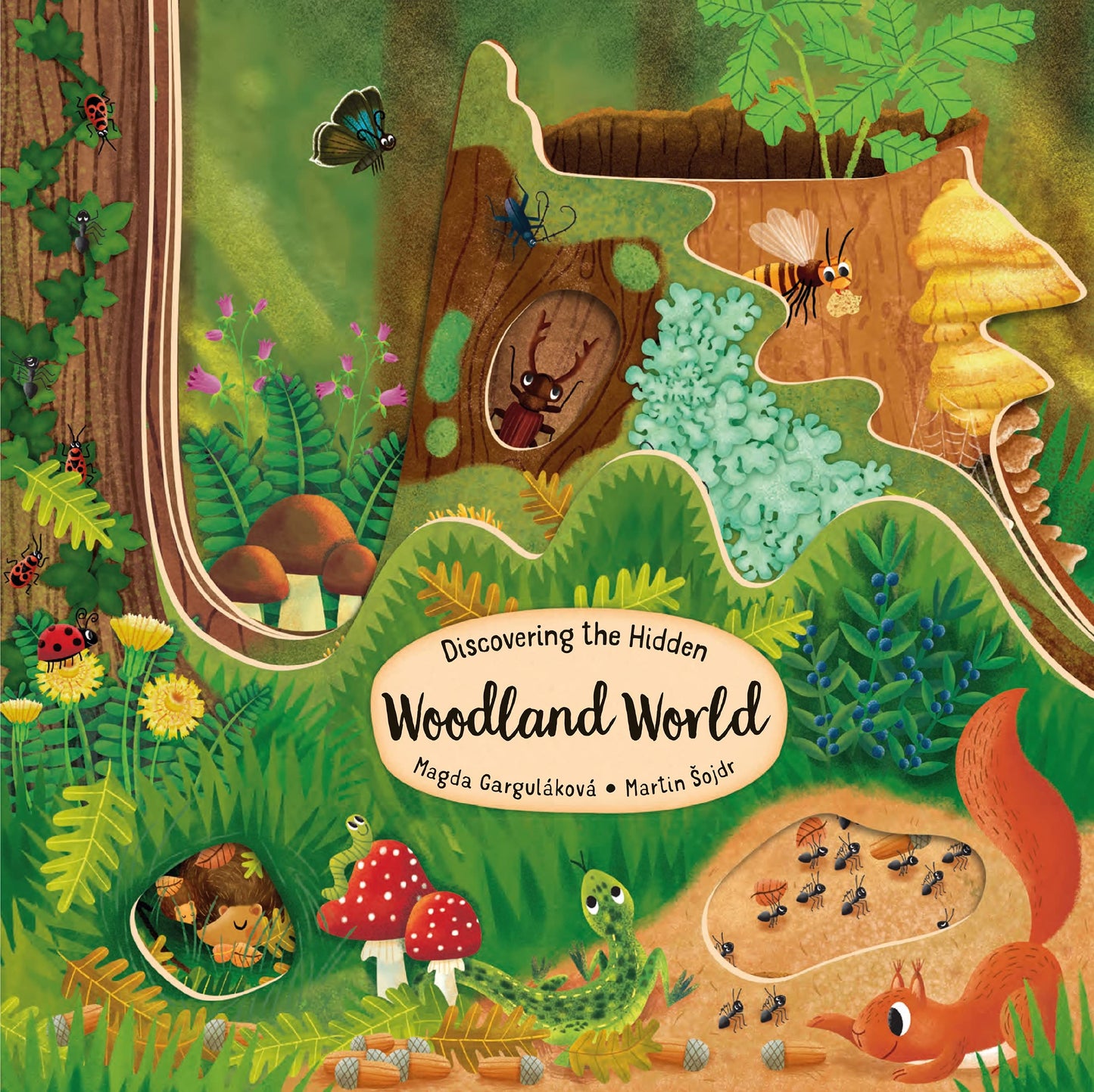 Discovering the Hidden Woodland World (Happy Fox Books) Board Book for Kids Ages 3-6 Explores into a Forest of Trees with Every Turn of the Page, plus Fun Facts and Vocabulary Words