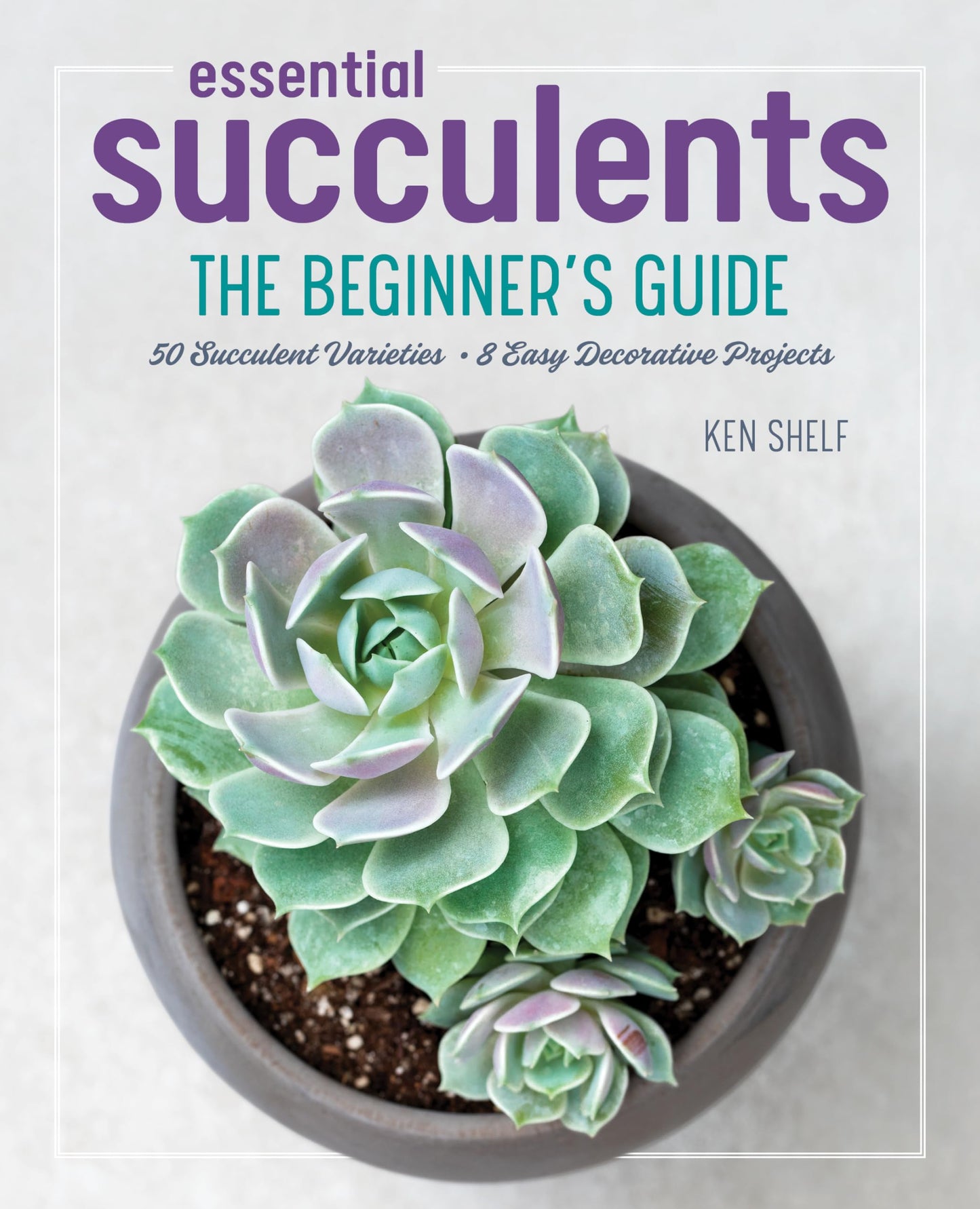 Essential Succulents: The Beginner's Guide - 8479