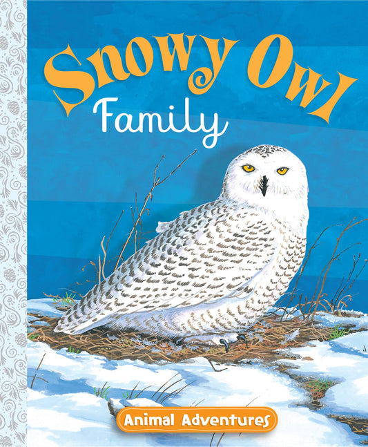 Snowy Owl Family Animal Adventures
