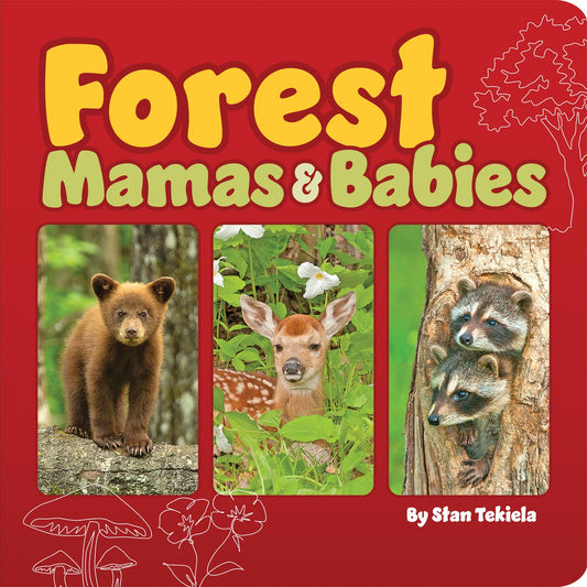 Forest Mamas & Babies (Mamas and Babies)