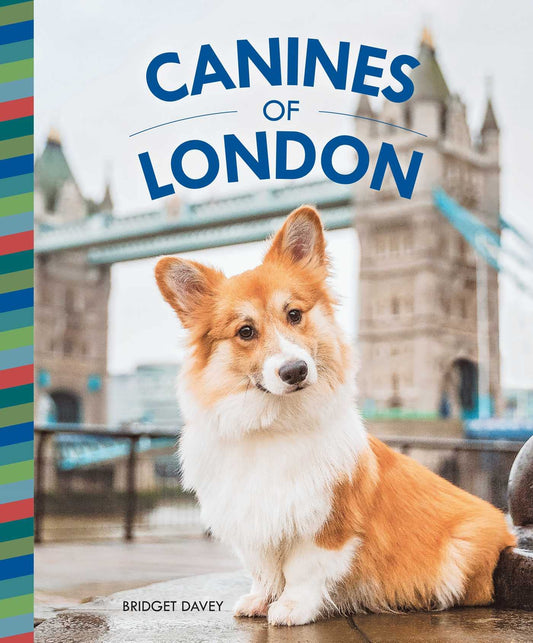 Canines of London (Dog Photography, Dog Lovers Gift) - 3761