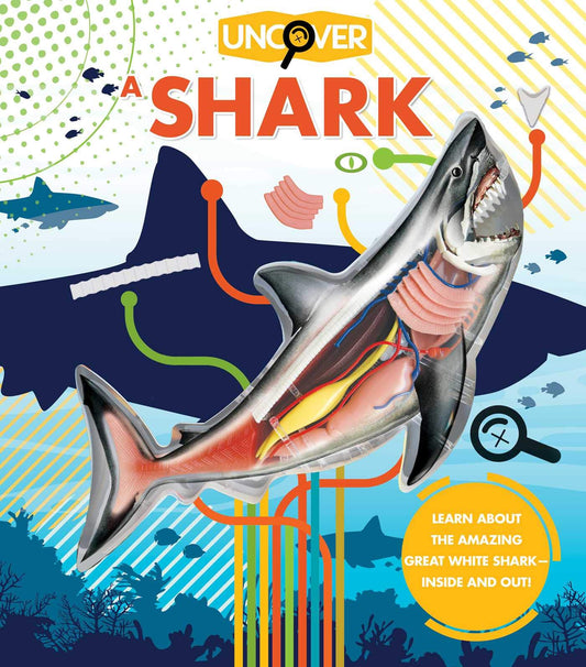 Uncover a Shark - 7487