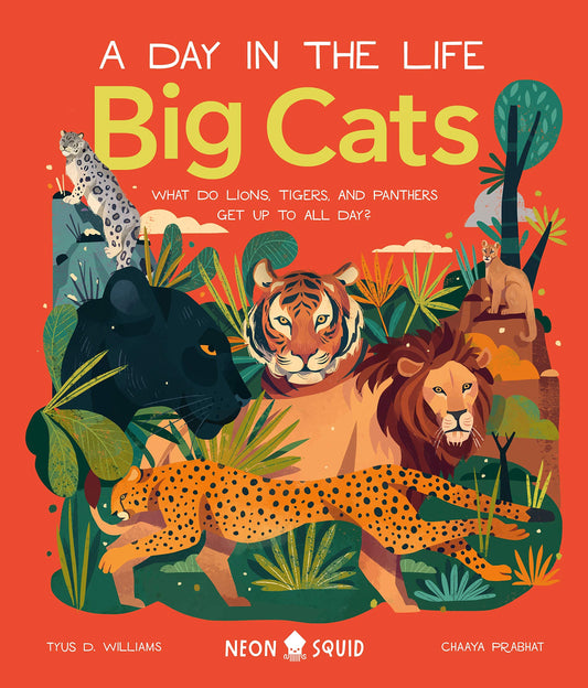 Big Cats (A Day in the Life): What Do Lions, Tigers, and Panthers Get up to All Day? - 4366