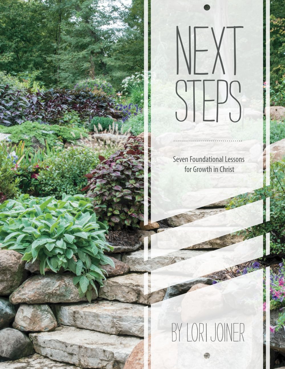 NEXT STEPS: Seven Foundational Lessons for Growth in Christ - 1564